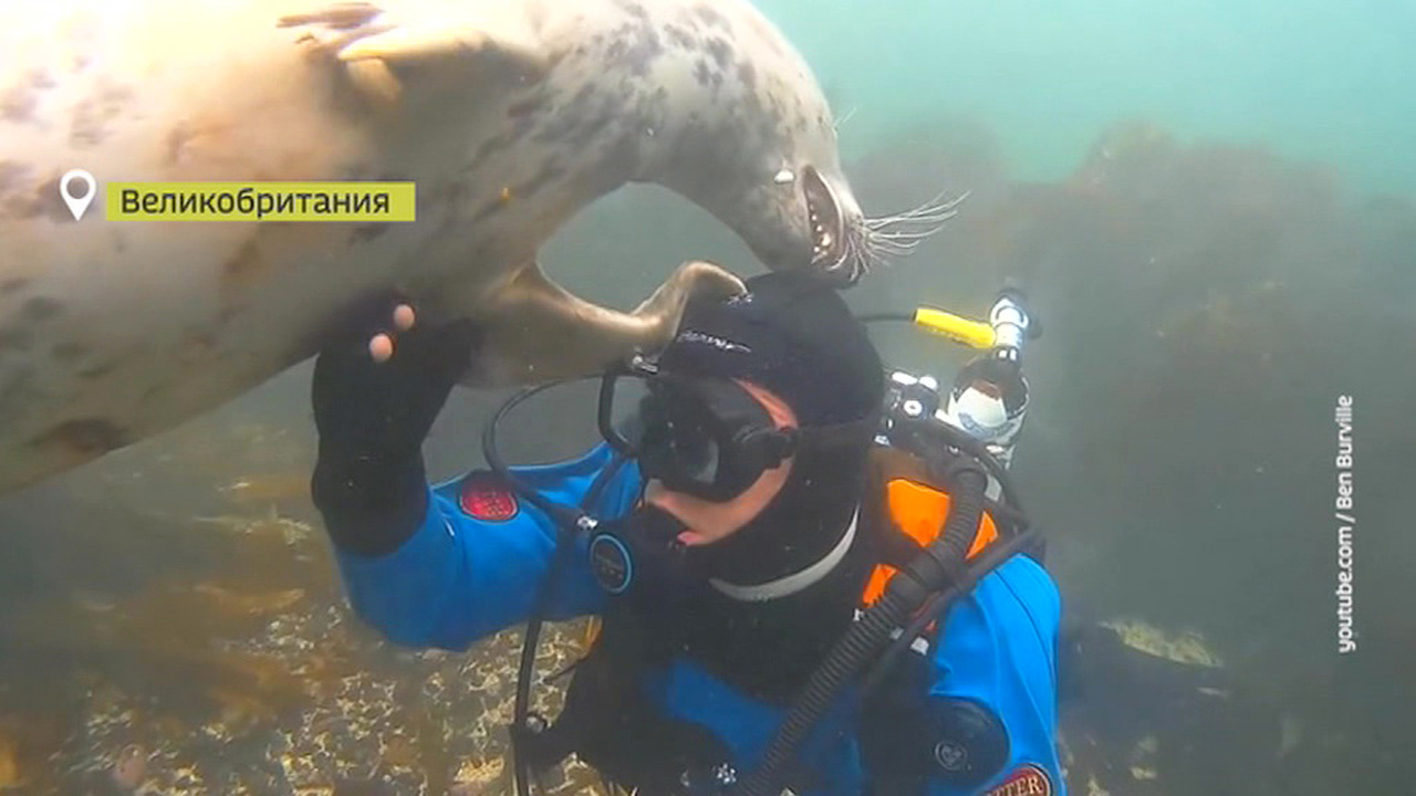 Эфир от 30.12.2018