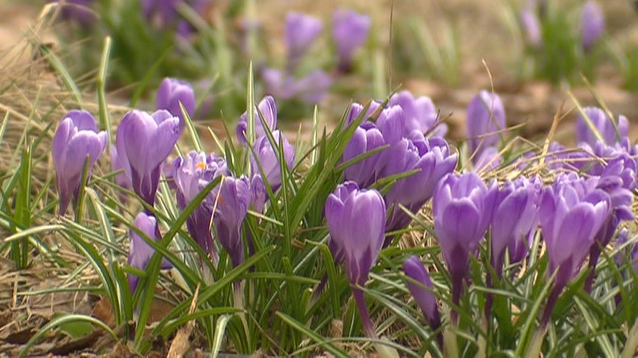 Эфир от 07.04.2019