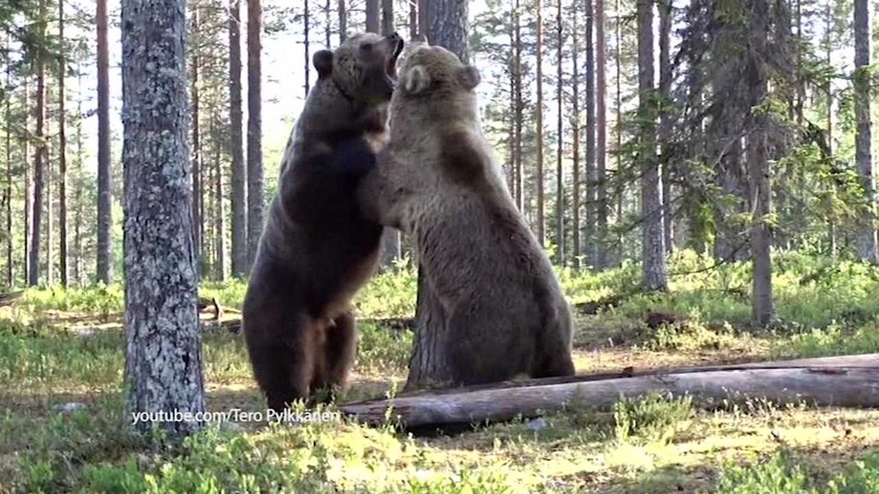 Эфир от 13.07.2019