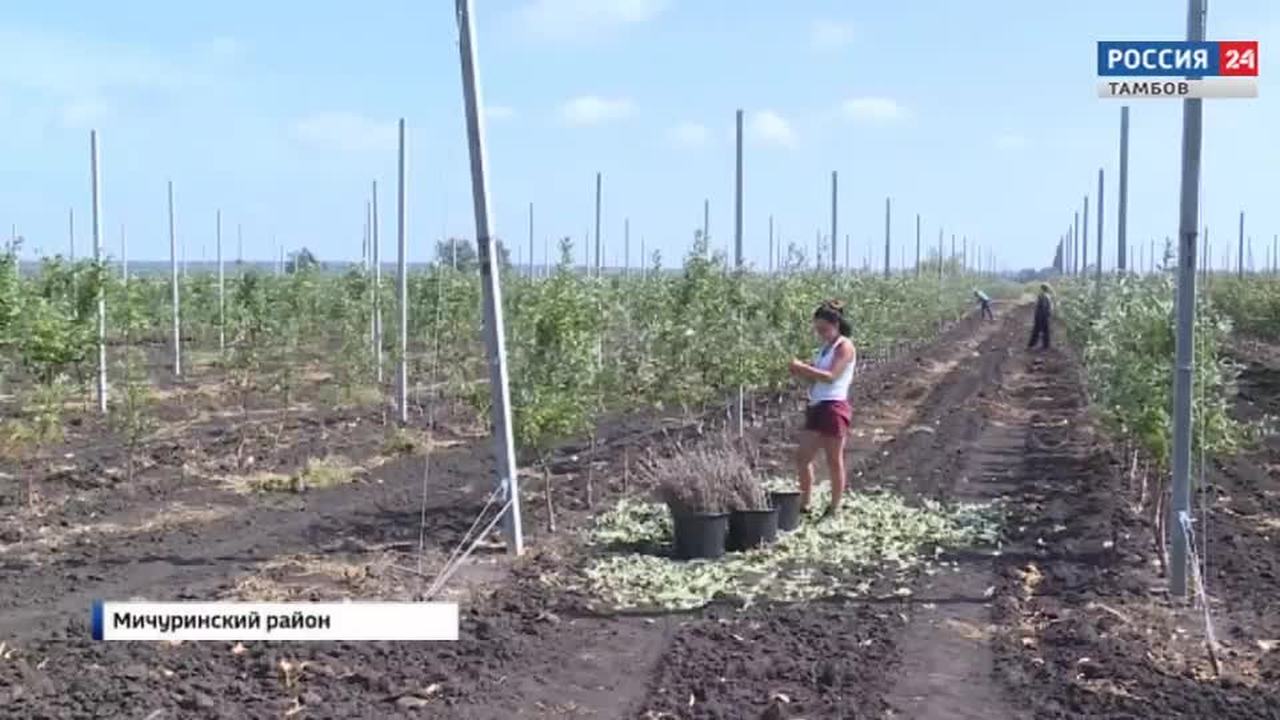 Эфир – 18.08.2019