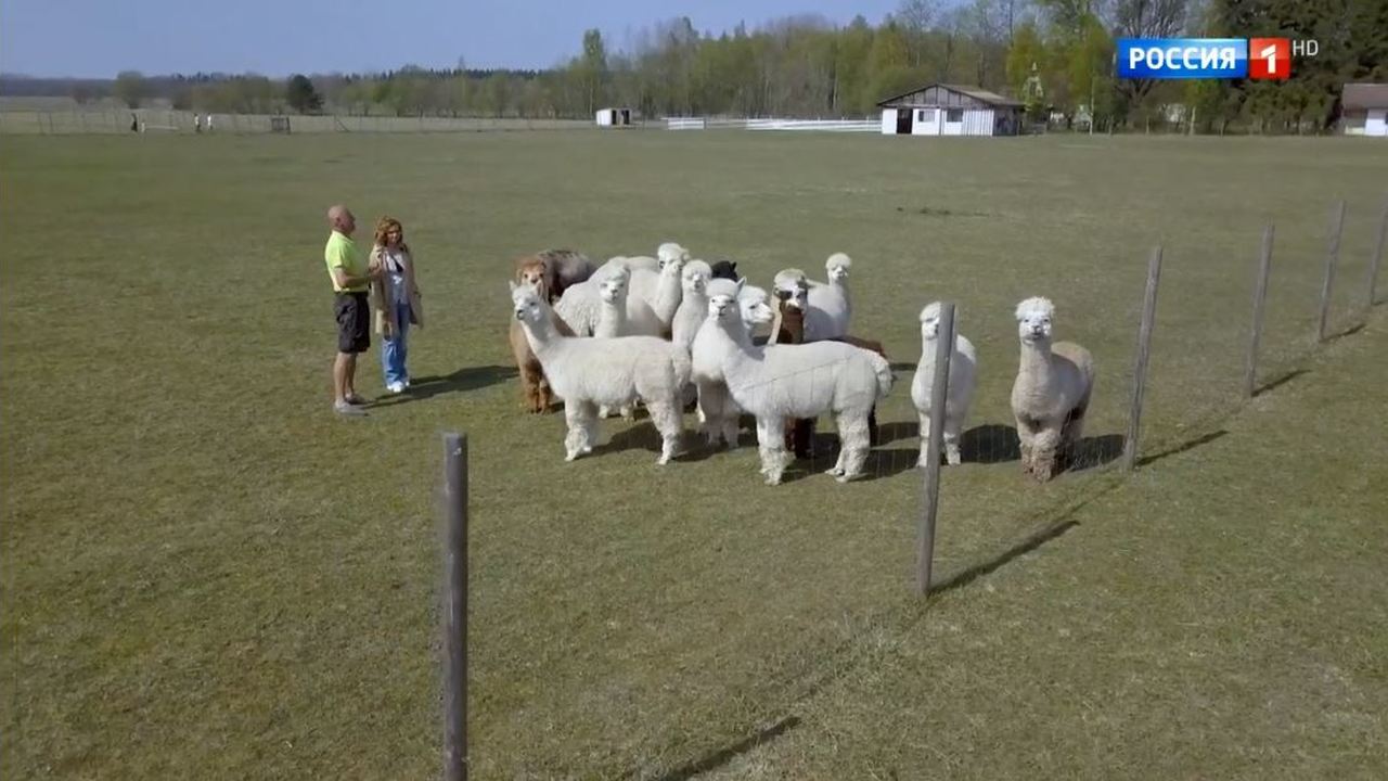 Пярну (Эстония)