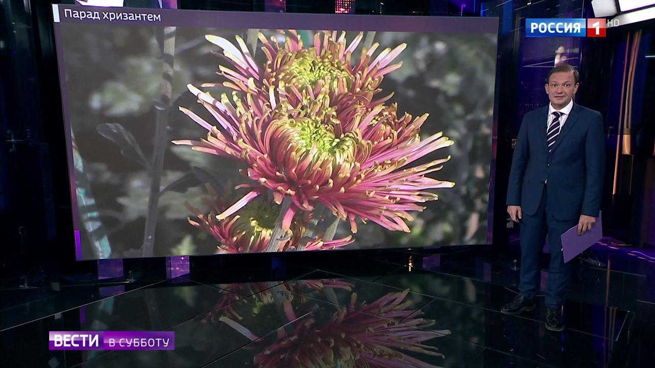 Эфир от 26.10.2019 (20:00)