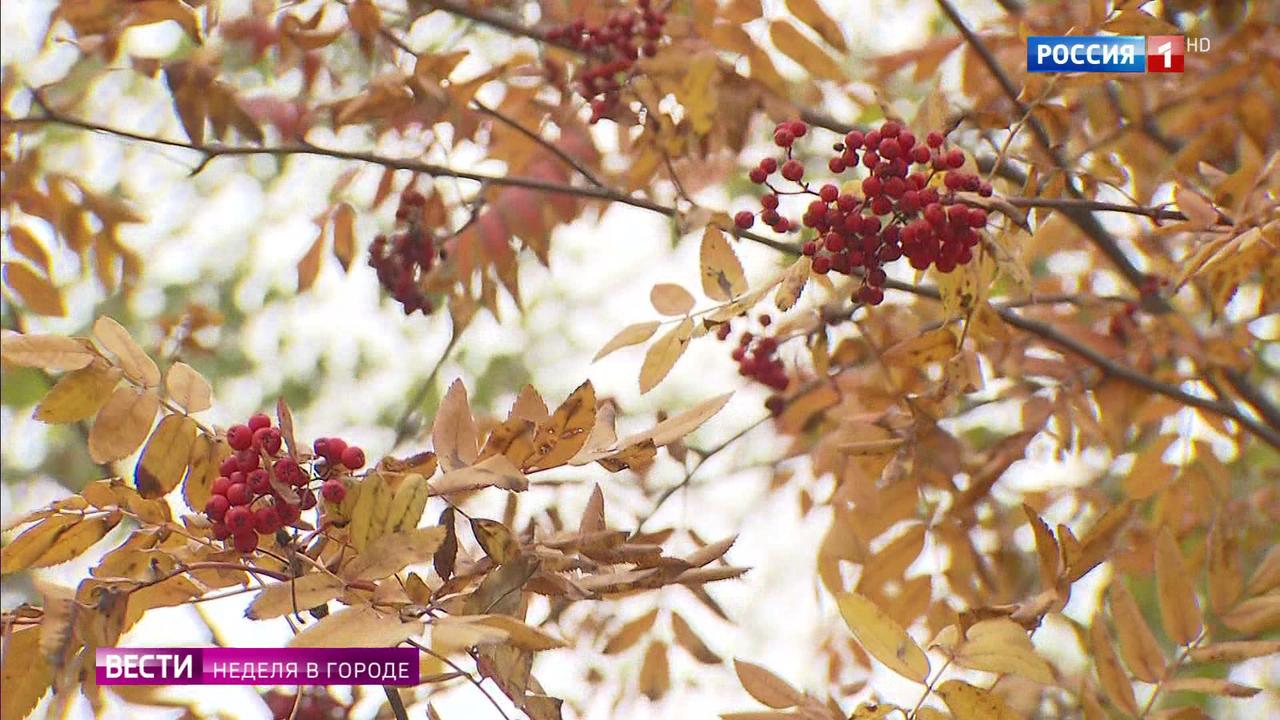 Эфир от 27.10.2019