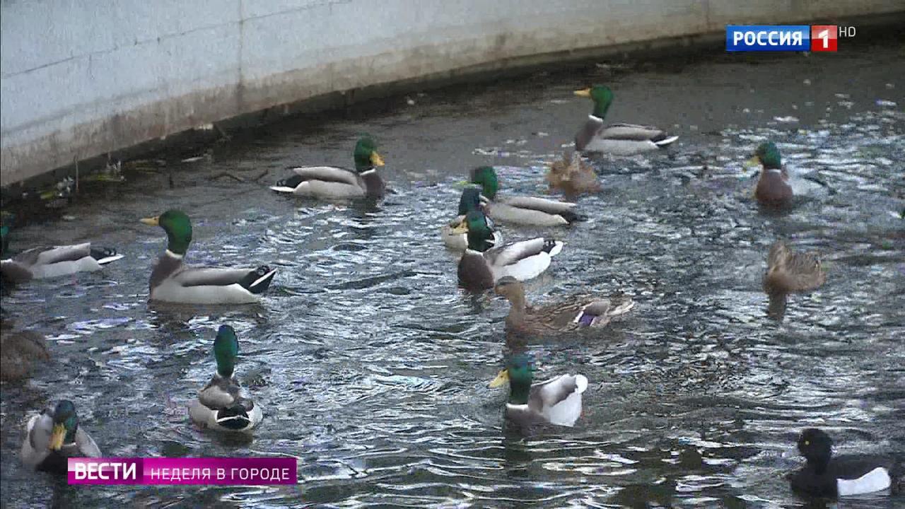 Эфир от 10.11.2019