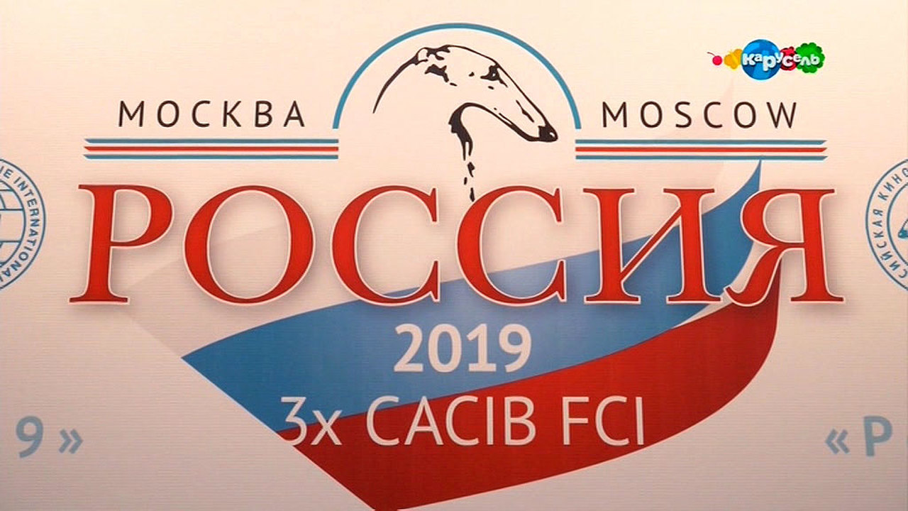 Эфир от 28.11.2019