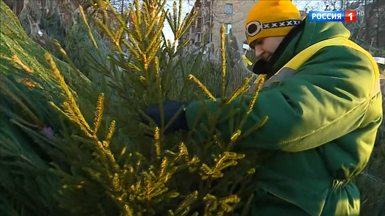 Эфир от 20.12.2019 (14:25)
