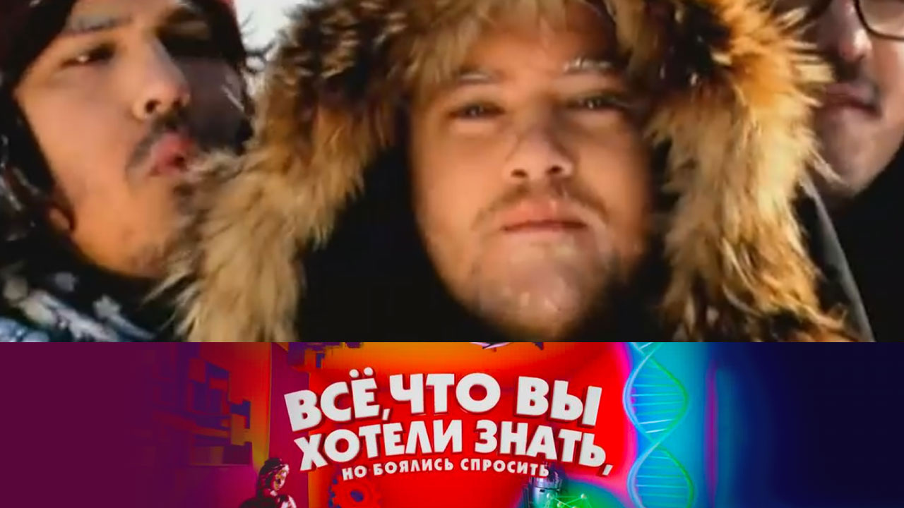 Как появился хлеб