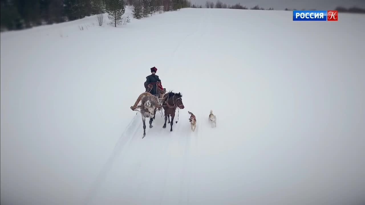 Ямское дело