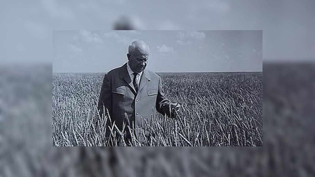 Хрущев хотел побудить японцев к самостоятельности. История с Андреем Светенко