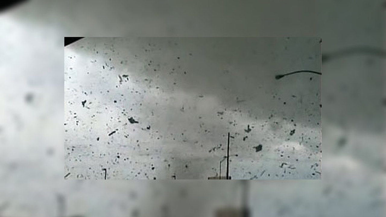 Россиян ждут новые погодные аномалии