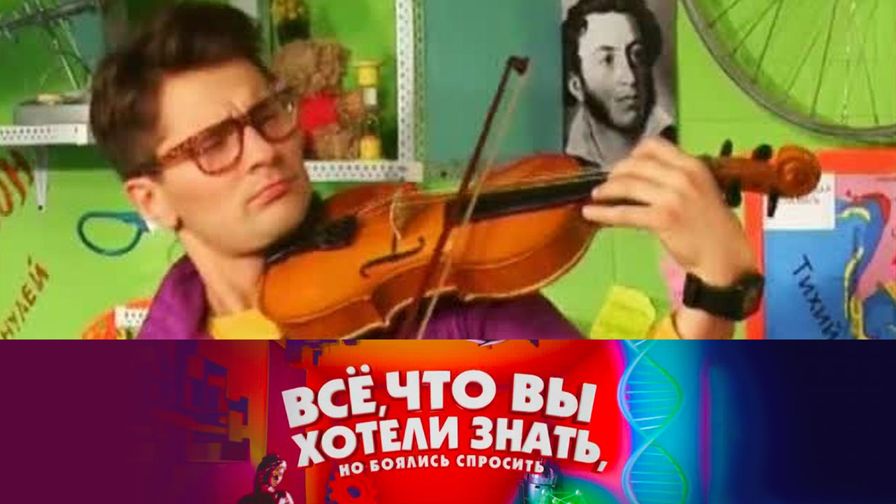 Как появились музыкальные инструменты