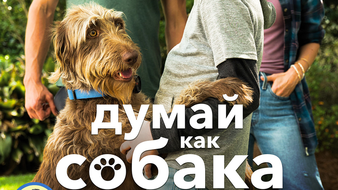Думай как собака