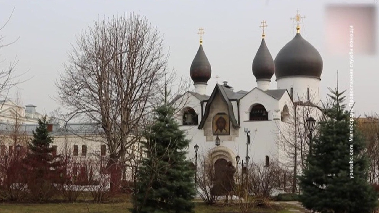 Такие удивительные добровольцы