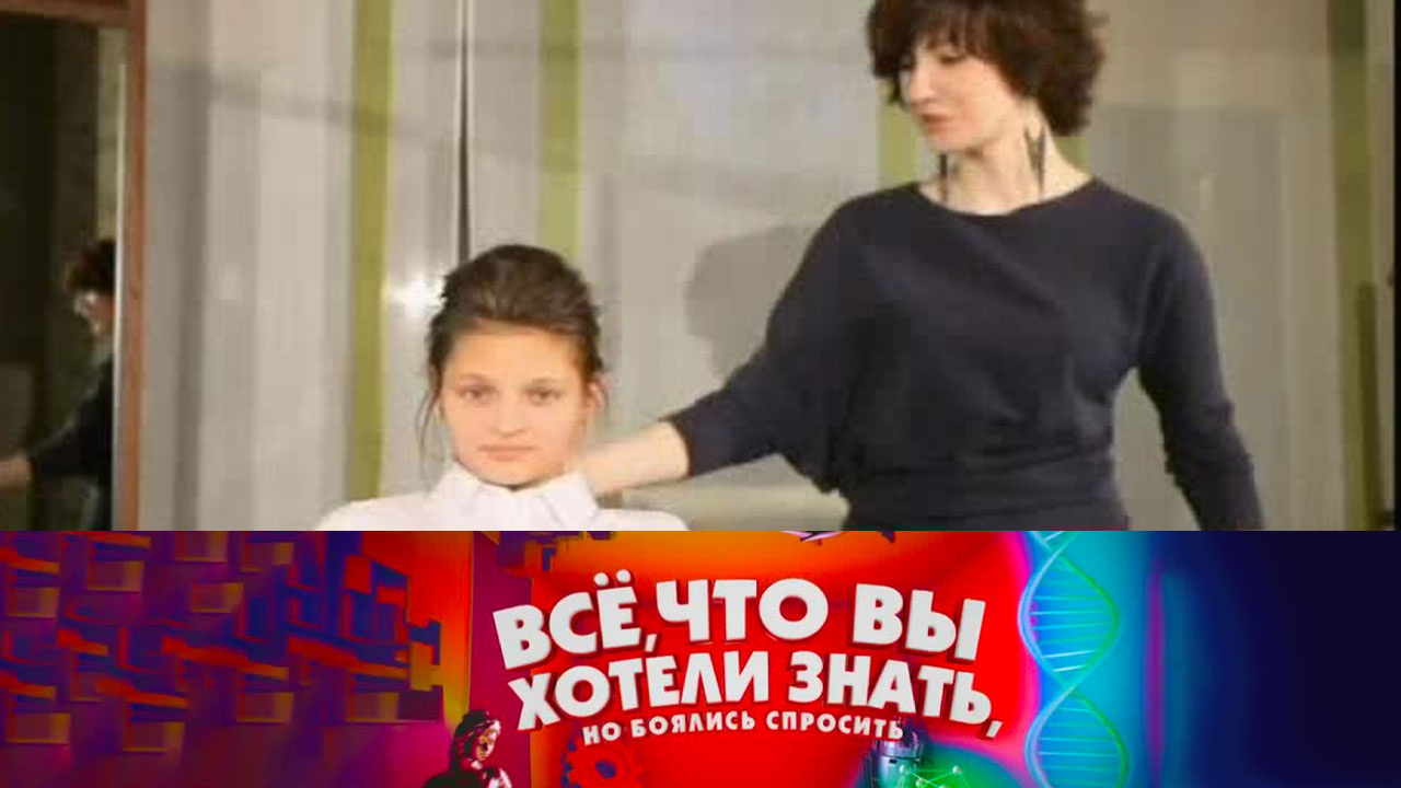 Когда придумали прически