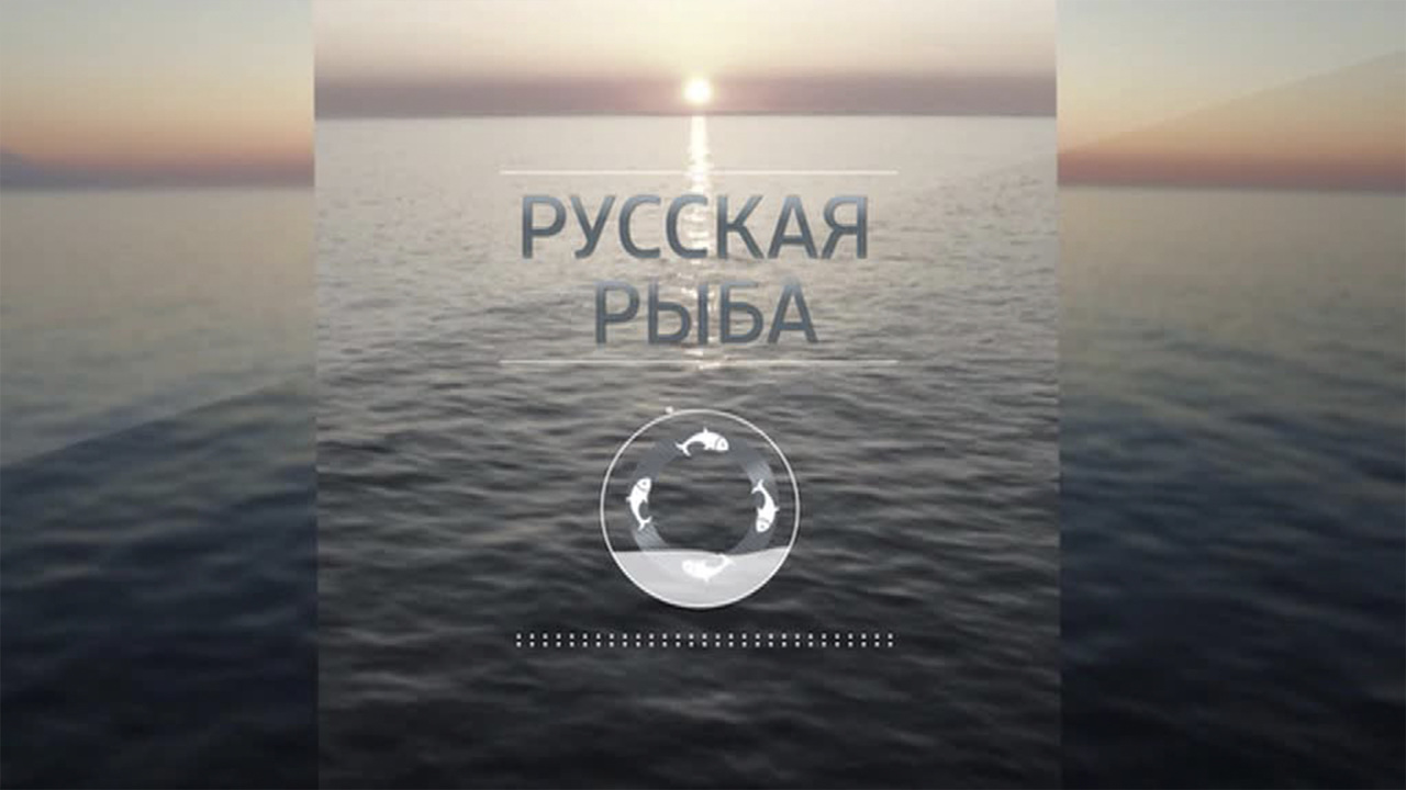 Документальный фильм