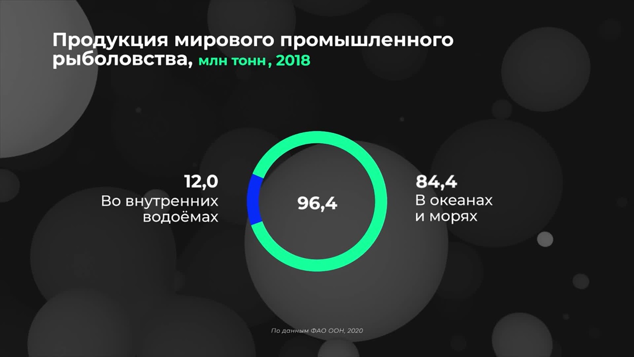Мир в цифрах. Какие страны лидируют по улову рыбы?