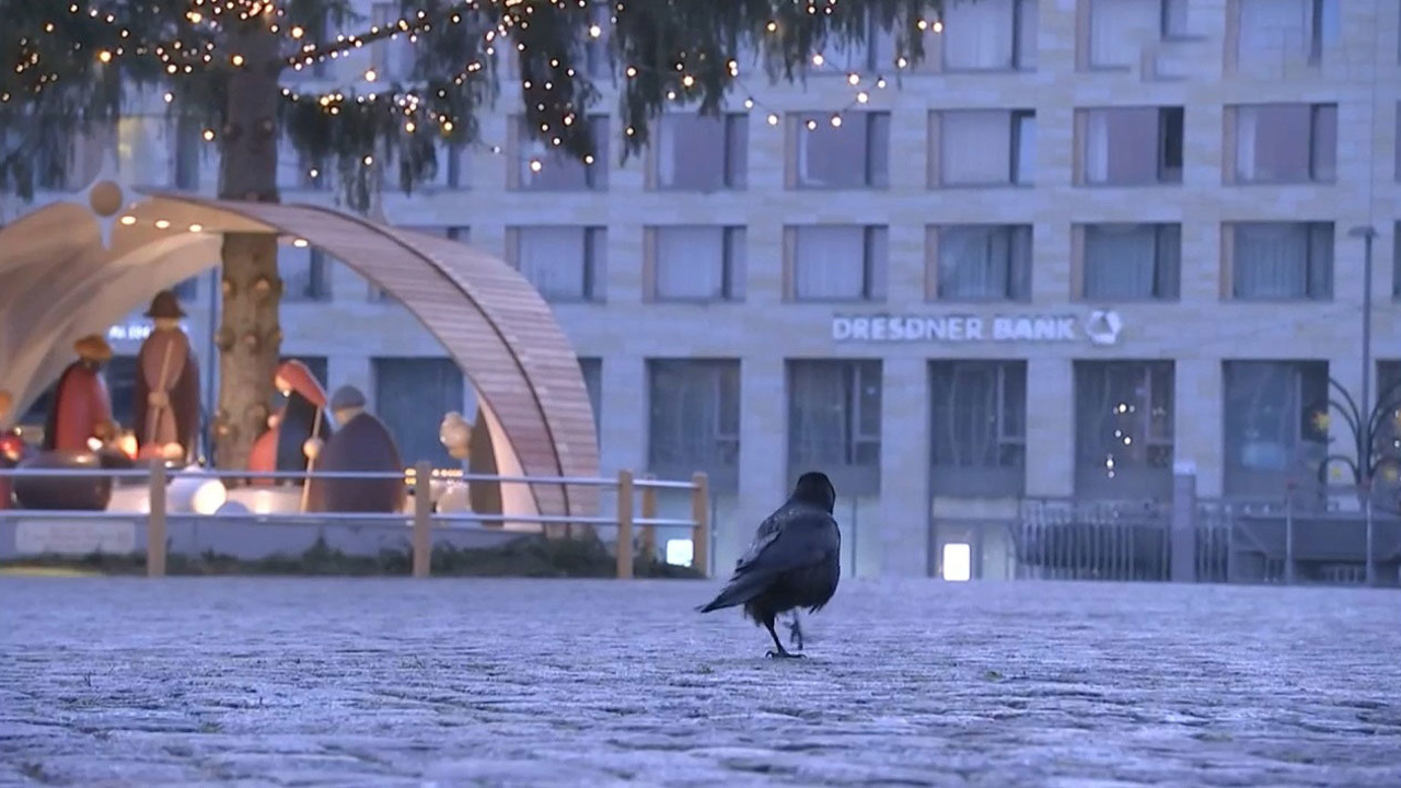 Эфир от 14.12.2020