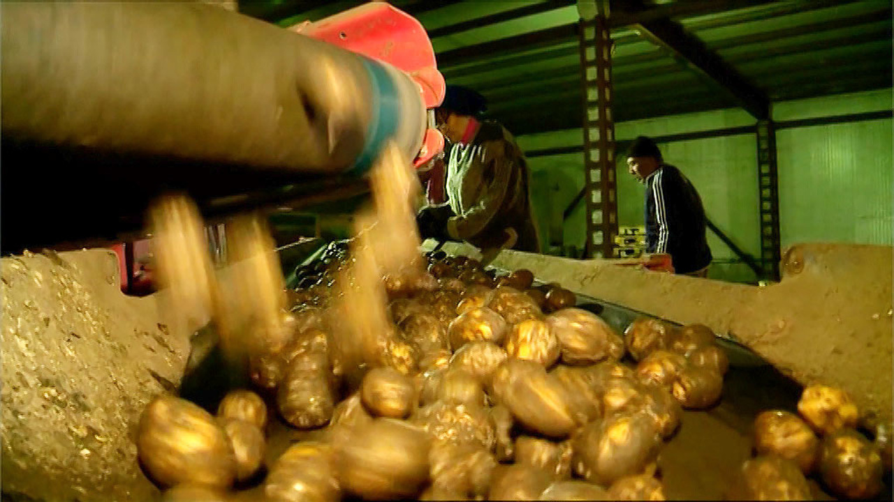Цены на продукты: производители и торговые сети заключили соглашение