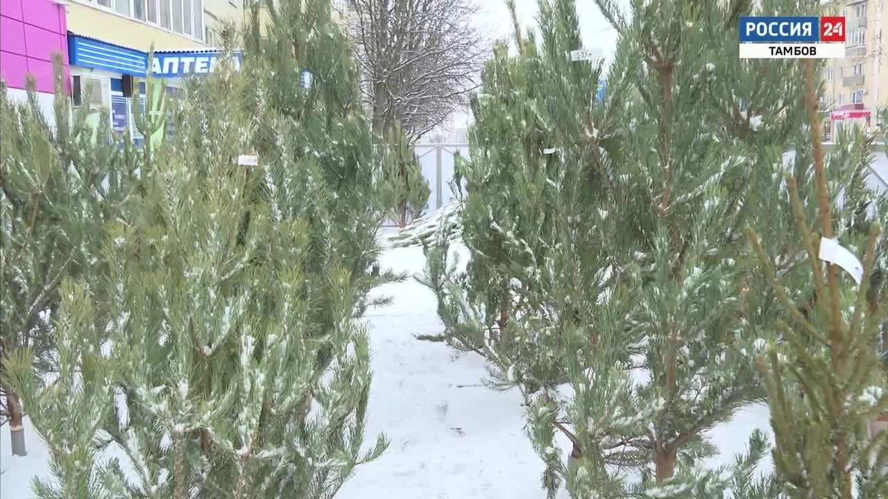 Эфир – 20.12.2020