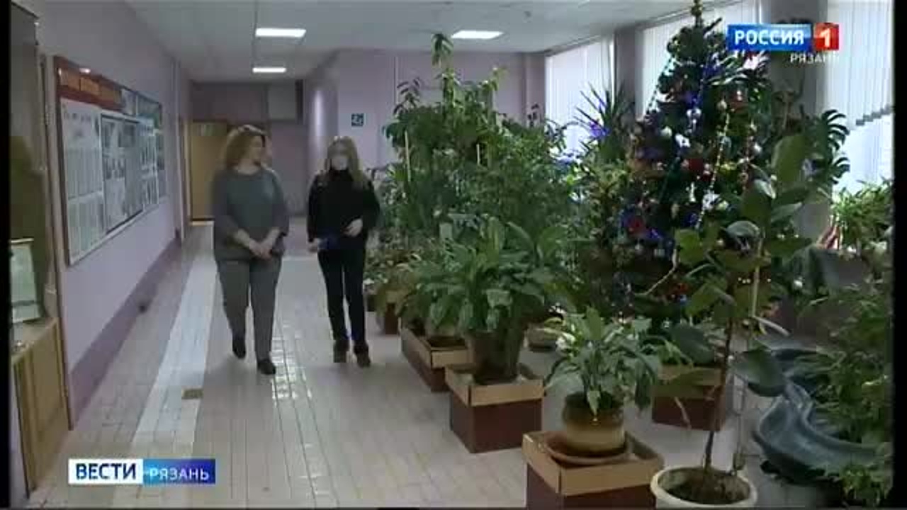 Колледж
