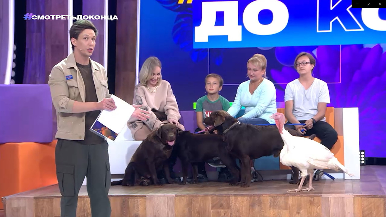 Смотреть до конца