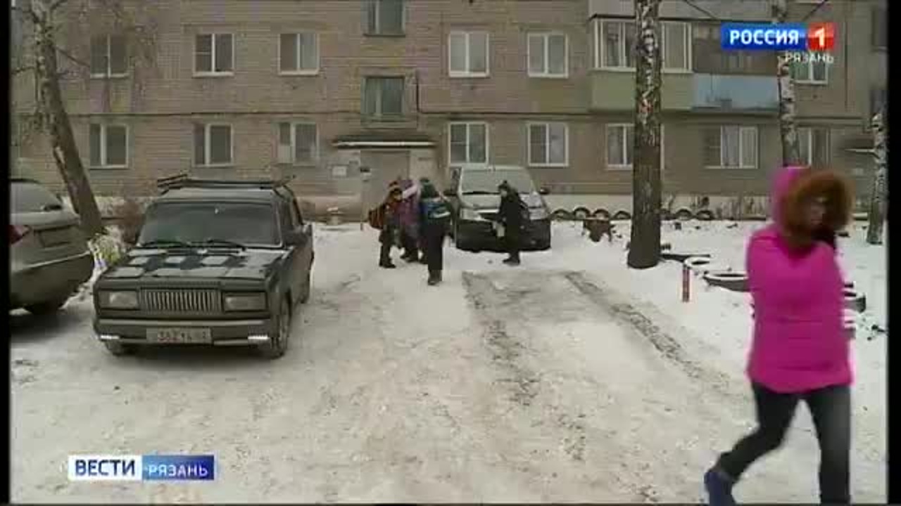 Собаки