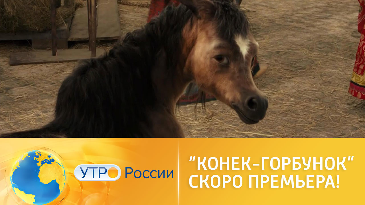 "Конек-Горбунок" – в кино с 18 февраля