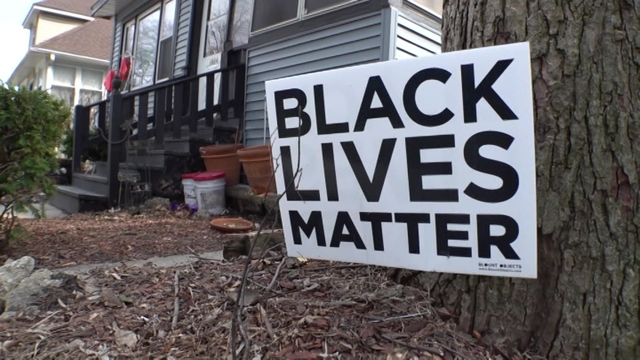 Экономические и социальные аппетиты движения BLM