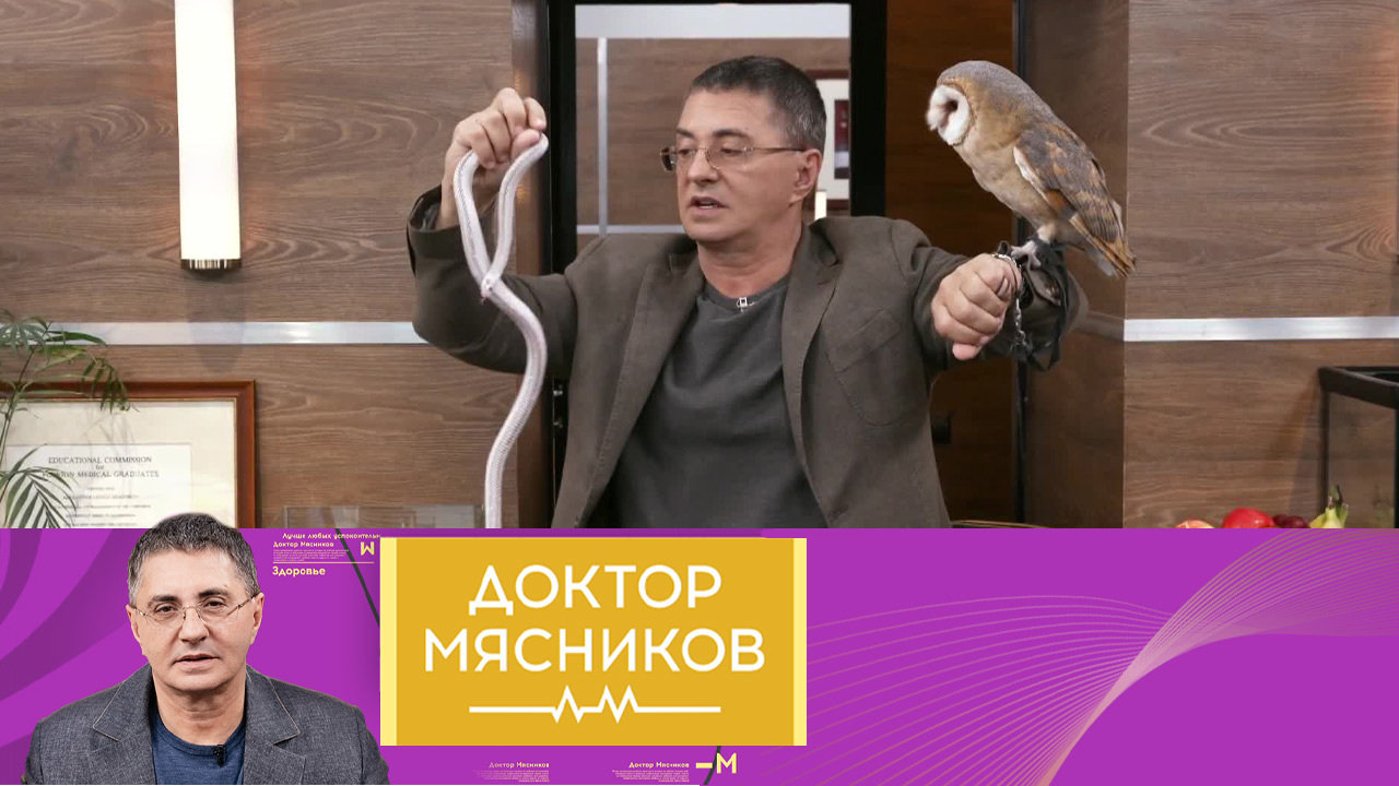 В День медицинского работника – об Авиценне и ковиде. Эфир от 20.06.2021