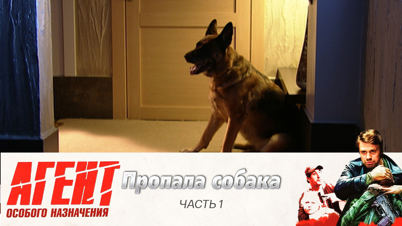 Пропала собака: Часть 1