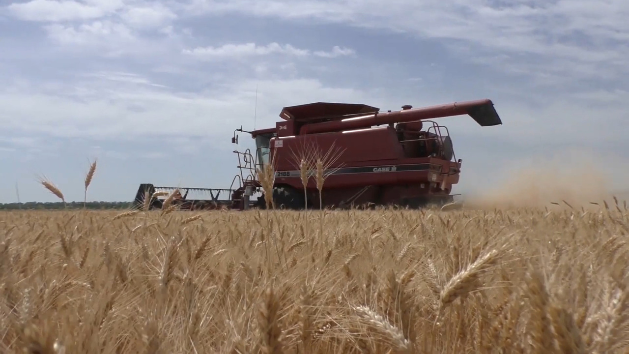 Продажа земли, перевод Пушкина на украинский