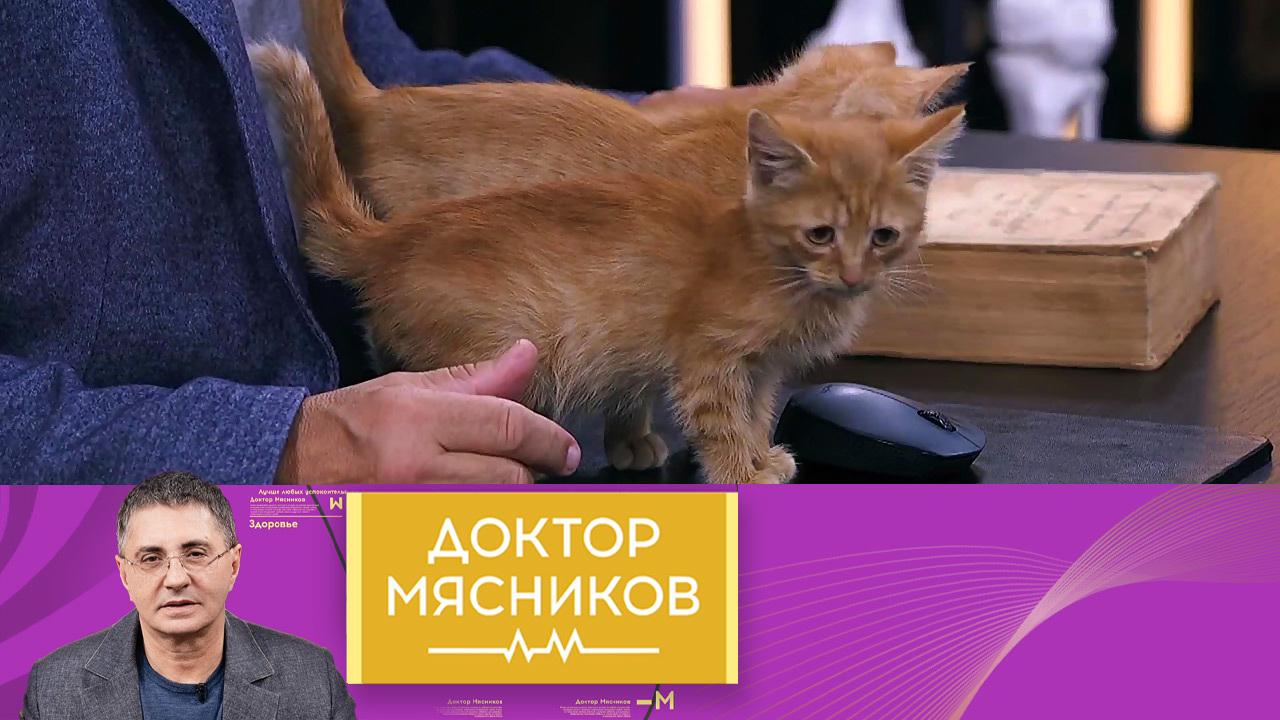 Полуфабрикаты, простатит, польза музыки для здоровья. Эфир от 25.09.2021