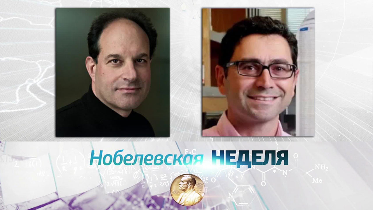 Нобелевский комитет объявил лауреатов в области физиологии и медицины