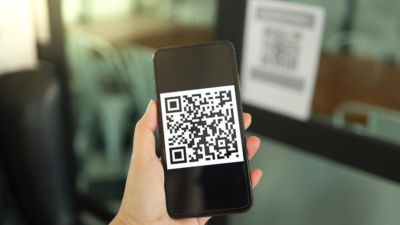Систему QR-кодов в Псковской области продлят на новогодние праздники