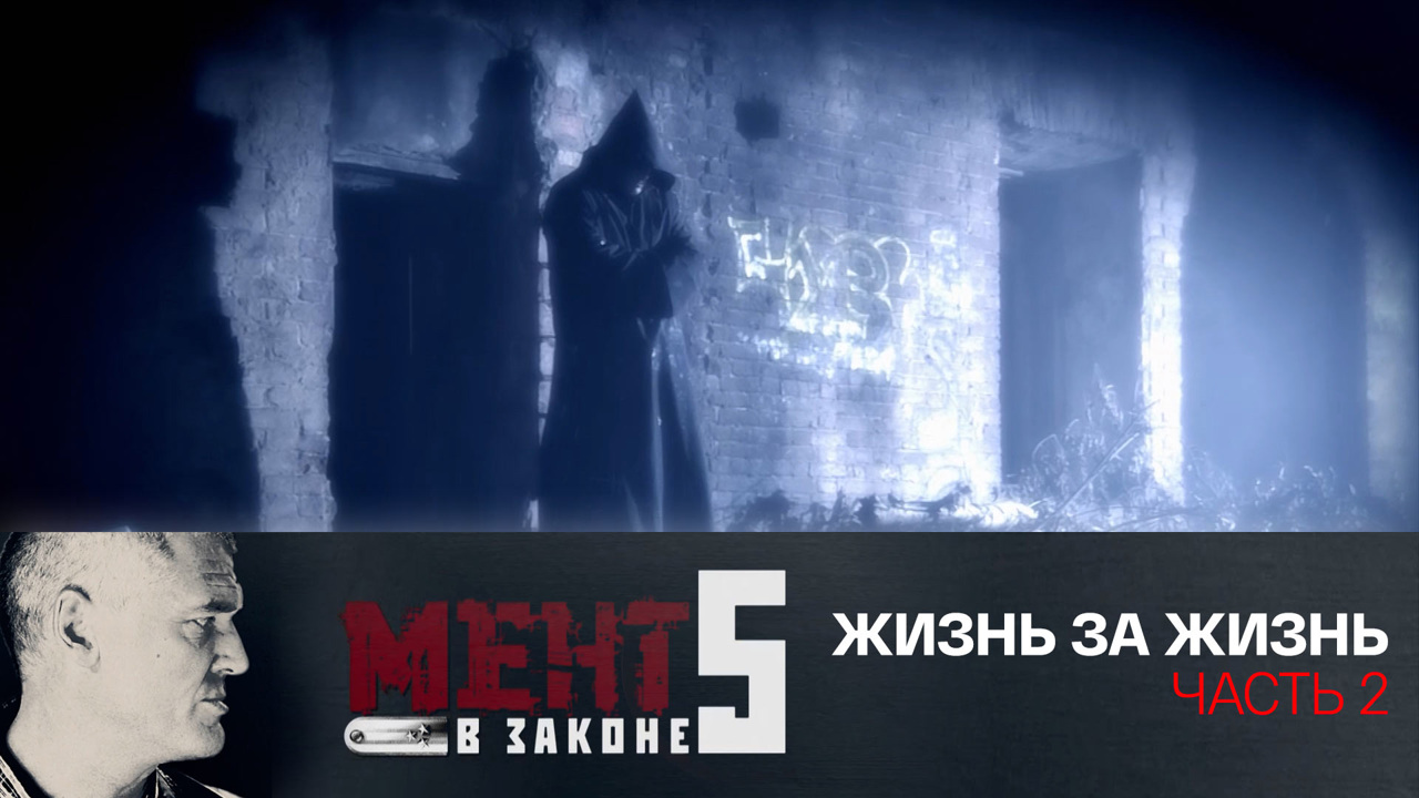 Жизнь за жизнь. Часть 2