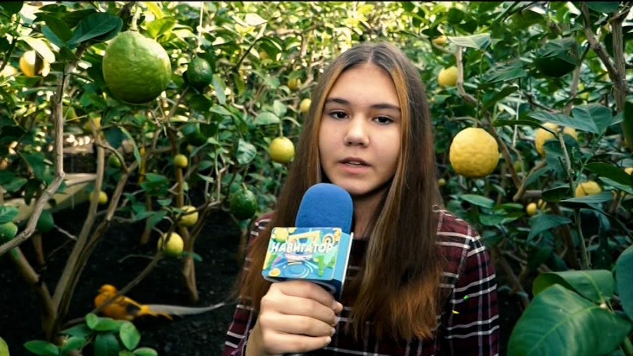 Эфир от 22.11.2021