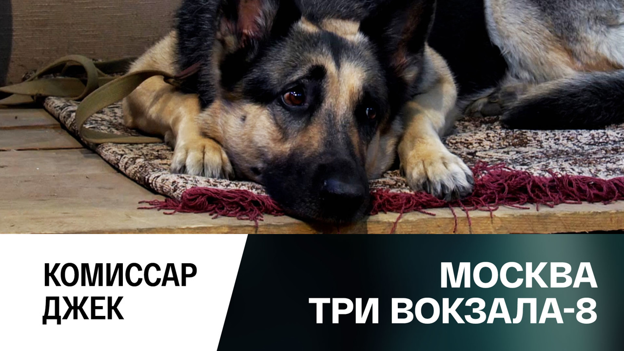 Комиссар Джек