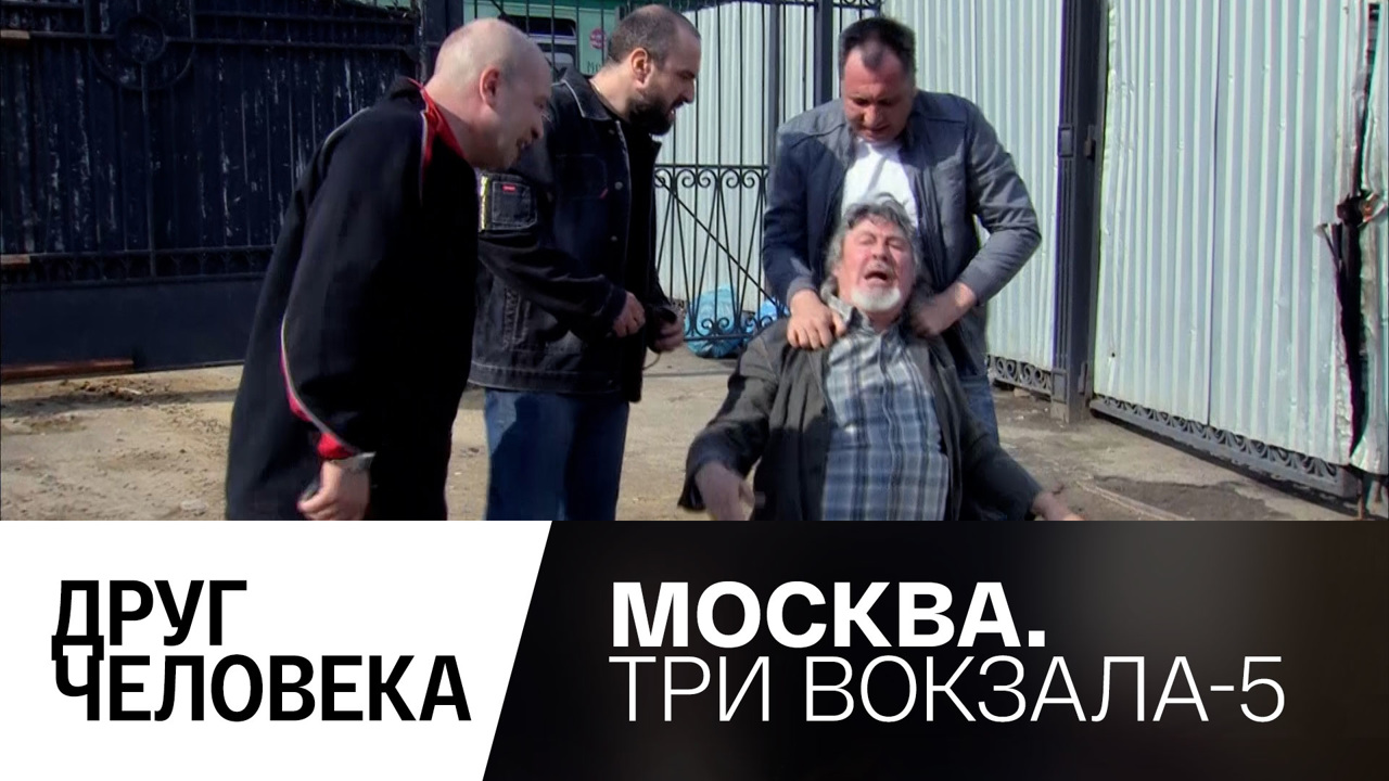Друг человека