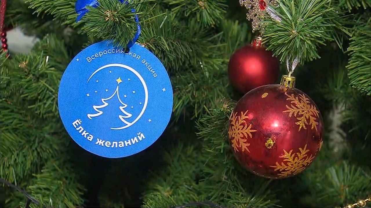 Эфир от 24.12.2021 (14:00)