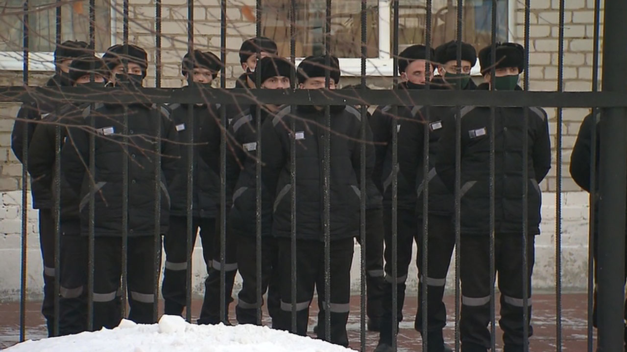РФ и Белоруссия, ВТО, свобода слова на Украине