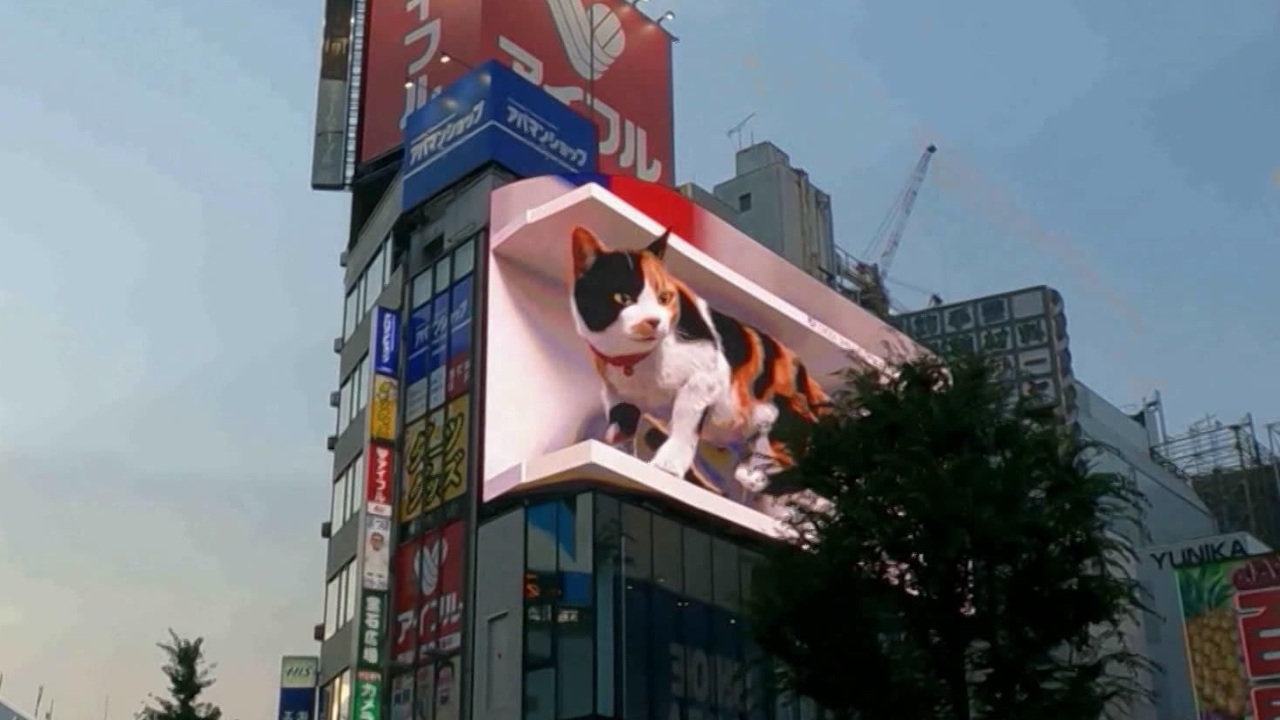 Новой достопримечательностью Токио стал огромный мяукающий 3D кот