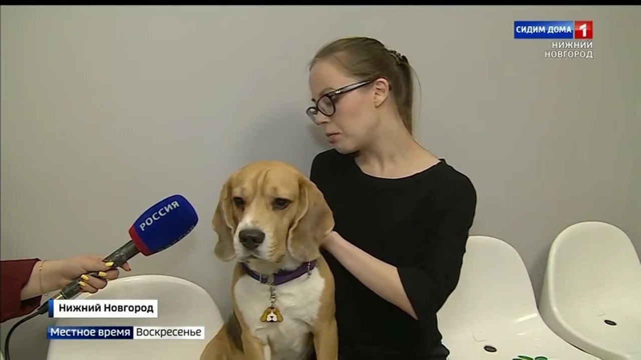 Эфир от 24.04.2022