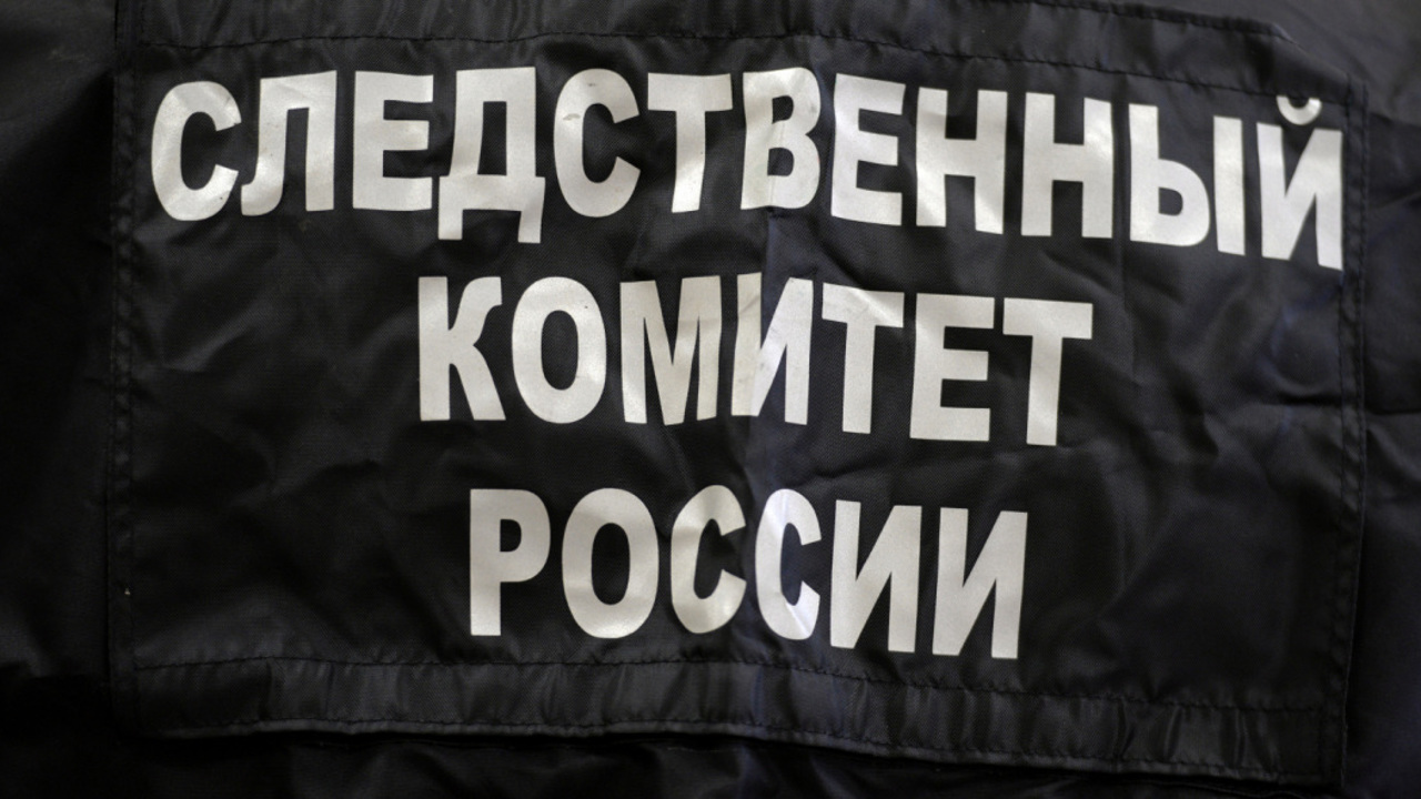 Грибник около детского лагеря в Саратове нашел человеческий череп