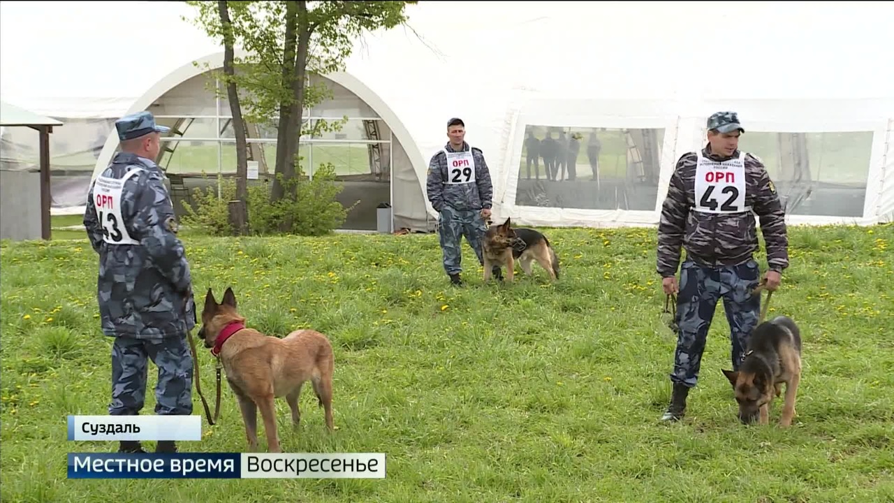 Эфир от 29.05.2022