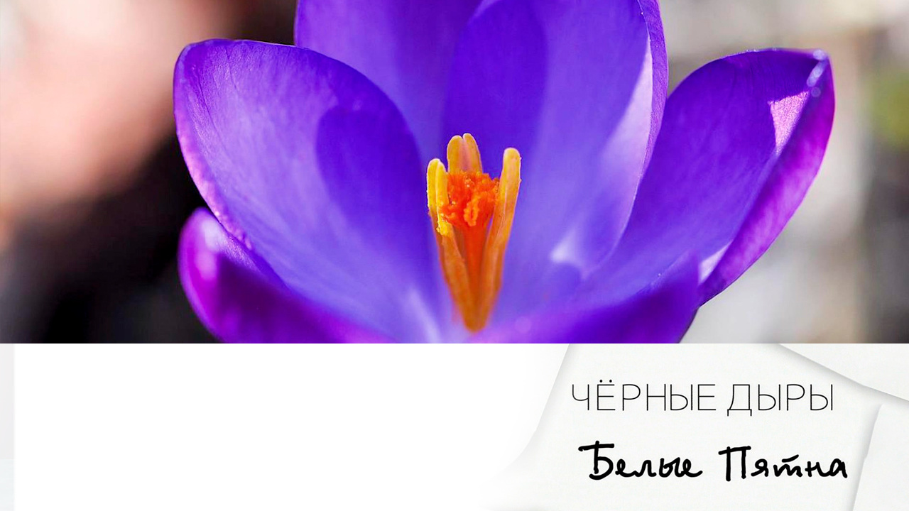 Эфир 28.05.2022