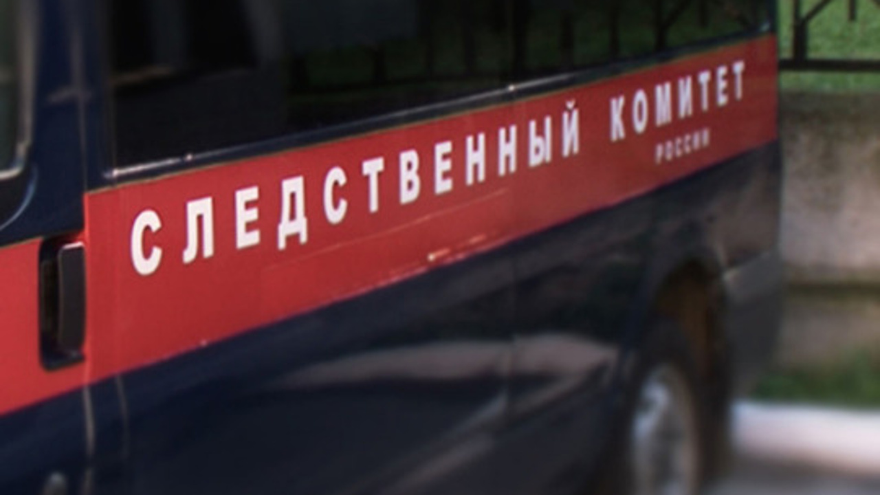 25-летняя жительница Пермского края убила родственников за критику ее личной жизни