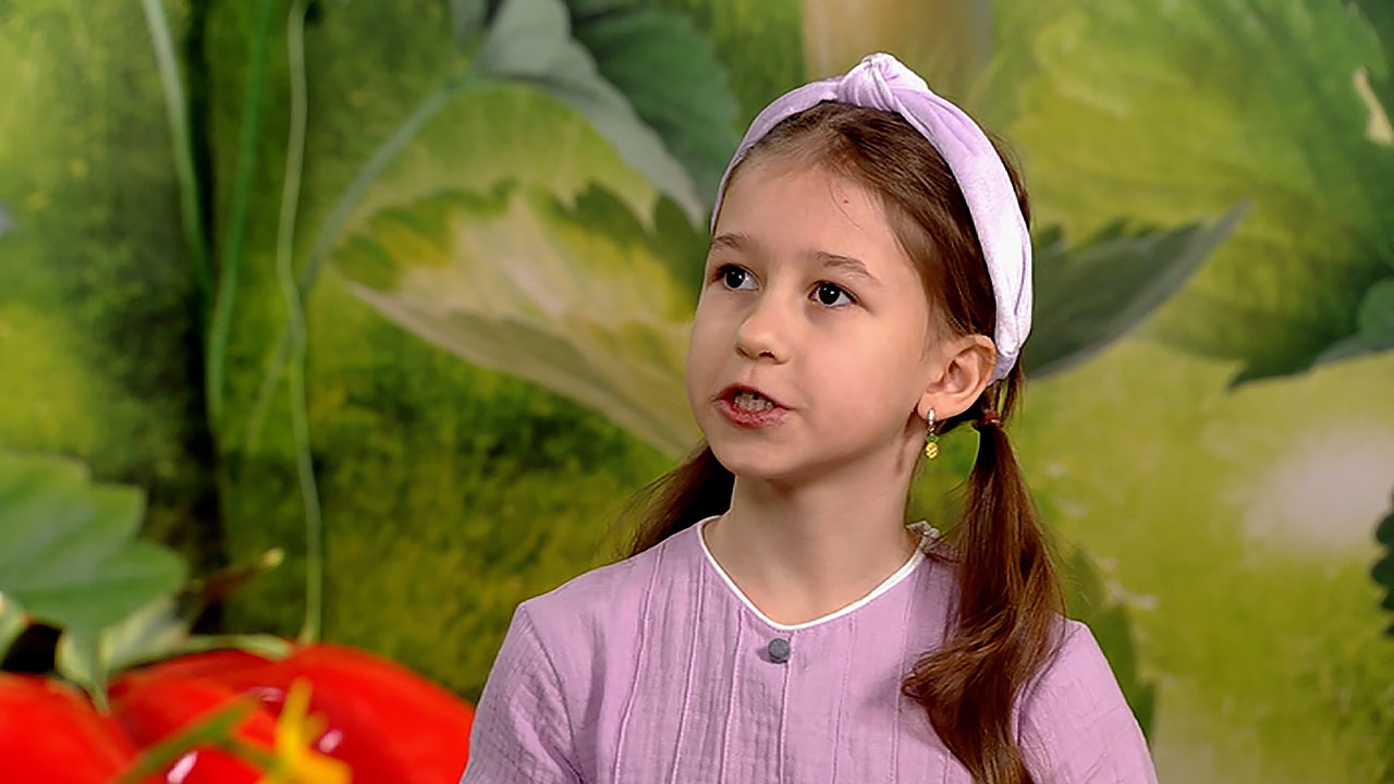 Ленивые вареники. Эфир от 04.06.2022