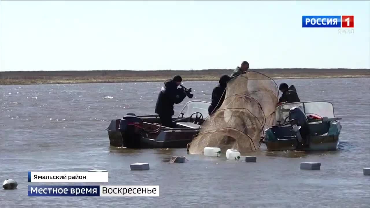 На Ямале стартовала летняя путина: рыбаки начали охоту на корюшку