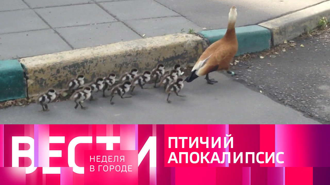 Эфир от 12.06.2022