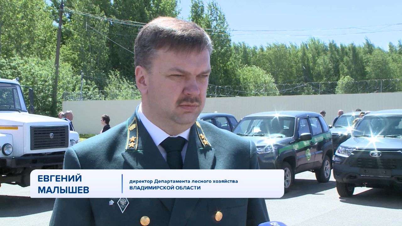 Директор Департамента лесного хозяйства Евгений Малышев
